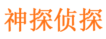 江永侦探公司